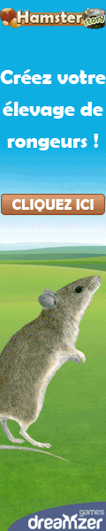 HamsterStory : jeu gratuit sur Internet, s\'occuper d\'un rongeur