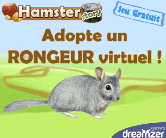 HamsterStory : jeu gratuit sur Internet, s\'occuper d\'un rongeur